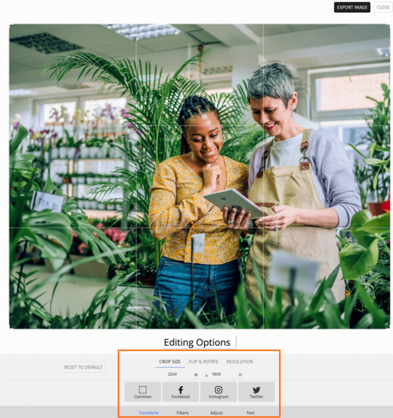 Brevo-email-marketing-software-image-editor-1